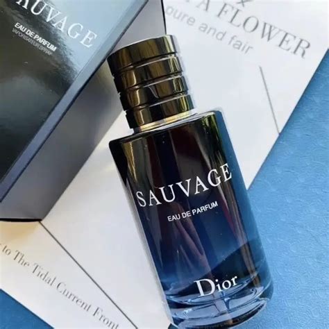 dior chauvage|what does dior sauvage smell like.